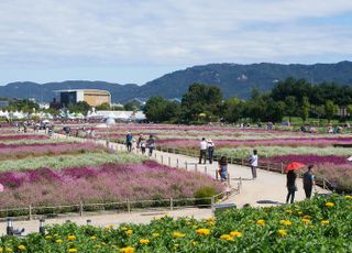 양주시, ‘2024년 양주 천만송이 천일홍 축제’ 성황리에 마쳐..15만명 방문