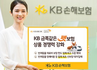 KB손보, 금쪽같은펫보험 개정 출시…특정 재활치료 업계 최초 보장