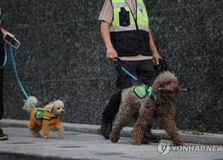 동네 지키는 '서울 반려견 순찰대' 280팀 추가 선발…총 1704팀 활동