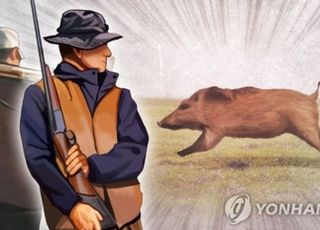 경기 연천서 멧돼지 사냥 중 동료 오인 사격…1명 사망