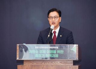 중장기전략위원회 “저탄소 경제 이행 위해 정부 재정·민간 재원 활용해야”