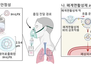 KAIST, 흡입 치료 최적화된 mRNA 전달체 개발…“26배 효과적인 폐질환 치료”