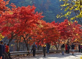 안양 서울대 관악수목원 29일간 시범 개방