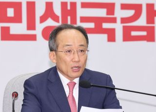 추경호 "장관차 '당근 매물'·기밀문건 공개 野의원들 법적조치 검토"