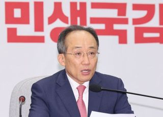 추경호 "장관차 '당근 매물'·기밀문건 공개 野의원들 법적조치 검토"