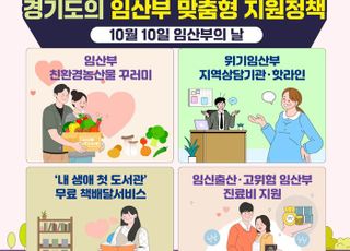 경기도, 임산부에 다양한 맞춤형 지원 정책 시행