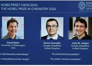 [2024 노벨상] 화학상에 AI 단백질 구조 설계·분석 베이커,허사비스,점퍼 3인 