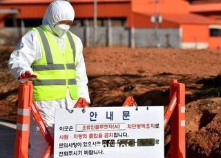 전북 군산서 고병원성 조류인플루엔자 확인…위기경보 ‘심각’