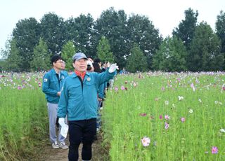 구리시, 2024 구리 코스모스 축제 현장 점검