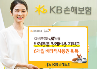 KB손보, 반려동물 장례비용 지원금 6개월 배타적사용권 획득