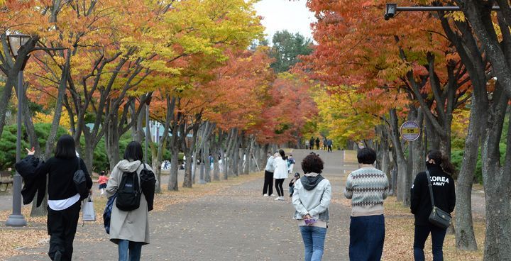 [오늘 날씨] '나들이갈 때 옷차림 유의' 일교차 15도 안팎…환절기, 면역력 높이는 방법