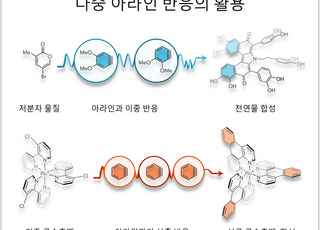 아주대 서성은 교수 등 한·미 공동연구팀, '아라인' 총정리 리뷰논문 발표