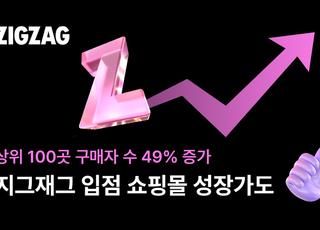 지그재그, 상위 100개 쇼핑몰 상품 구매자 수 49% '쑥'