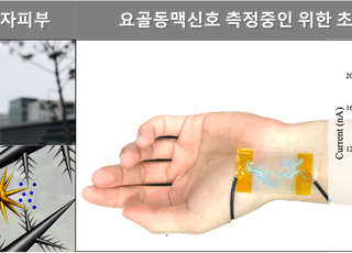 DGIST, 인간 뇌 본떠 ‘초민감 전자피부’ 개발