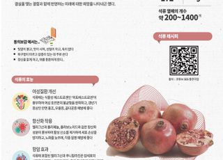 10월의 임산물…붉은 보석이 가득한 ‘석류’