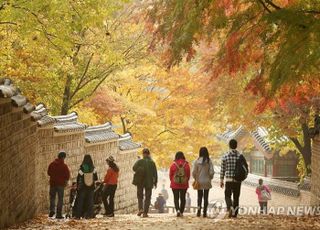 [오늘 날씨] 최저기온 5도 '강원산지 한파주의보'…단풍놀이, 낙상사고 조심하려면