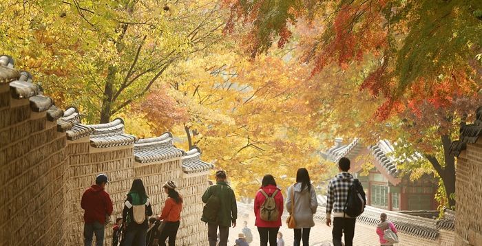 [오늘 날씨] 최저기온 5도 '강원산지 한파주의보'…단풍놀이, 낙상사고 조심하려면