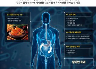 3개월동안 김치 꾸준히 섭취하자 체지방 2.6% 감소