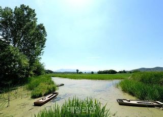 낙동강생물자원관 “우포늪 퇴적토 탄소, 11만6000t 저장 확인”