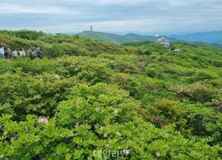 국립공원 7곳, 연간 1278억원 온실가스 흡수…면적당 소백산 최고