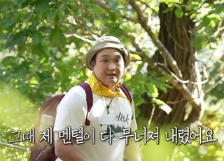 [데일리 헬스] 가을 등산 안전하게 하려면…산행 전 '이것' 착용은 필수