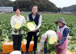 배추 산지 찾아간 한 총리 "김장철 배추 공급에 정부도 최대한 지원"