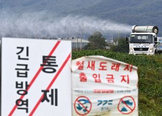 질병청, 조류인플루엔자 감시 강화…인체감염 예방조치