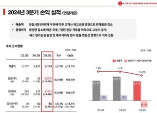 롯데에너지머티리얼즈, 3Q 영업손실 317억…적자전환