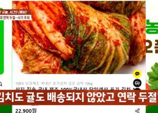 "포장김치 10kg 2만9900원에 팔아요" 사기 행위 발각