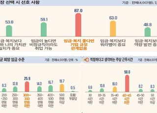 청년 직장 선택 시 기업 규모보다 임금·워라밸…희망 임금 300만원 이상이 76%