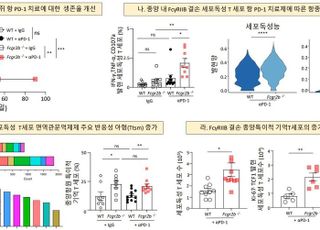 KAIST "난치성 뇌종양 치료 새 가능성 열어"