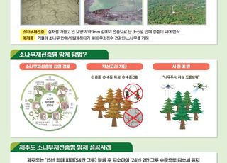 산림청, 소나무재선충병 확산방지…집단발생지는 수종 전환