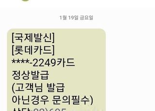 "신용카드 발급 완료"…피싱 조직 의뢰로 문자폭탄 날린 업자들 송치