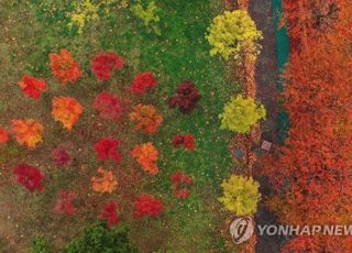 [오늘 날씨] '일교차 10~15도' 평년보다 기온↑…'수능 한파 없지만' 수험생 건강관리법