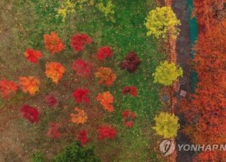 [오늘 날씨] '일교차 10~15도' 평년보다 기온↑…'수능 한파 없지만' 수험생 건강관리법