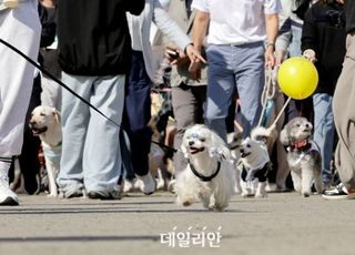 [단독]첫 해부터 부정·편법 횡행…반려동물행동지도사 국가자격증 ‘망신’