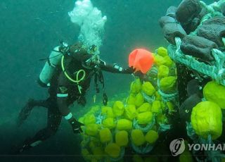 과도한 어획으로 균형 잃었나…해경 "금성호, 평소보다 고등어 3배 넘게 잡아"