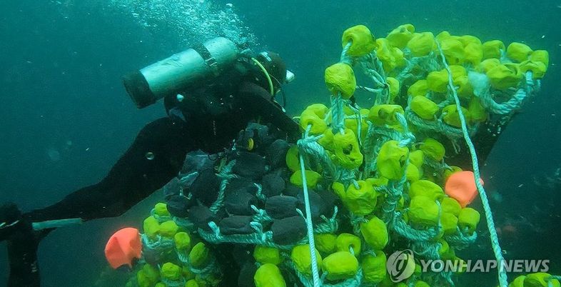 해경 "금성호 실종자 선체주변에 있을 가능성 높아"