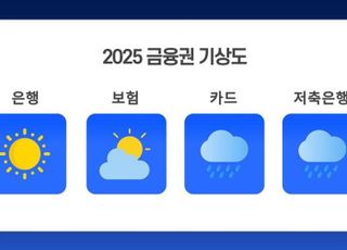 [2024 美대선] 트럼프 재집권에 금리 하락 제동?…금융권별 엇갈리는 희비