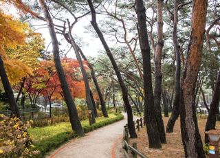 "사유지 개발 목적 서울시 공원 땅 사용 불허…침해되는 공익 더 크다 판단" [디케의 눈물 326]