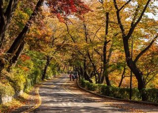 [내일날씨] 전국 낮 기온 20도 내외로 포근…큰 일교차 유의