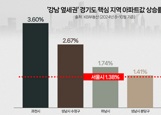 키 맞추기 나선 ‘강남 옆세권’, 집값 강세