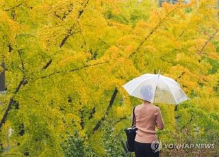 [오늘 날씨] 전국 흐리고 비소식…서울 낮 최고 20도