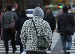 [오늘 날씨] '체감온도 0도↓' 초겨울 추위…찬바람 불 때 먹어야 하는 영양제