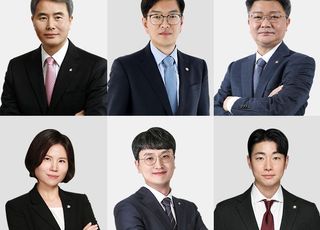 법무법인 대륜, '딥페이크 성범죄' 대응…사이버범죄팀 출범