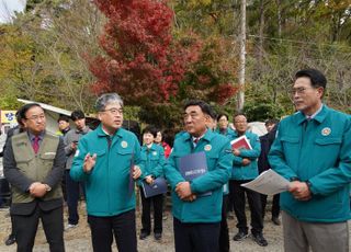 산림청, 소나무재선충병 피해 집중 발생한 7개 시군 현장점검