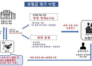 성형수술 후 허위서류로 보험금 64억 청구…병의원 보험사기단 범죄단체조직죄 적용