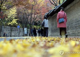 [오늘 날씨] 일교차 15도 안팎·밤부터 비...추운날 더 심해지는 무릎관절염, 어떤 운동이 좋을까