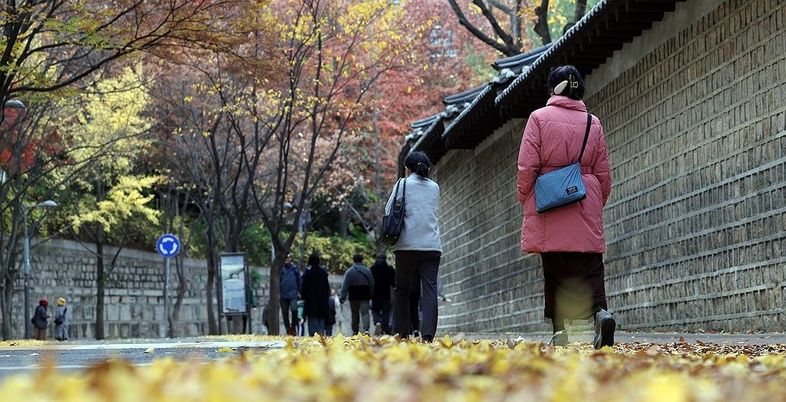 [오늘 날씨] 큰 일교차, 밤부터 비...추운날 더 심해지는 무릎관절염, 어떤 운동이 좋을까?