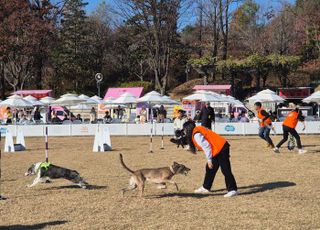 경기도, '제1회 경기도지사배 전국 반려견 스포츠대회' 폐막